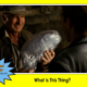 Crystal Skull 55: What Is This Thing? With Dr. David S. Anderson